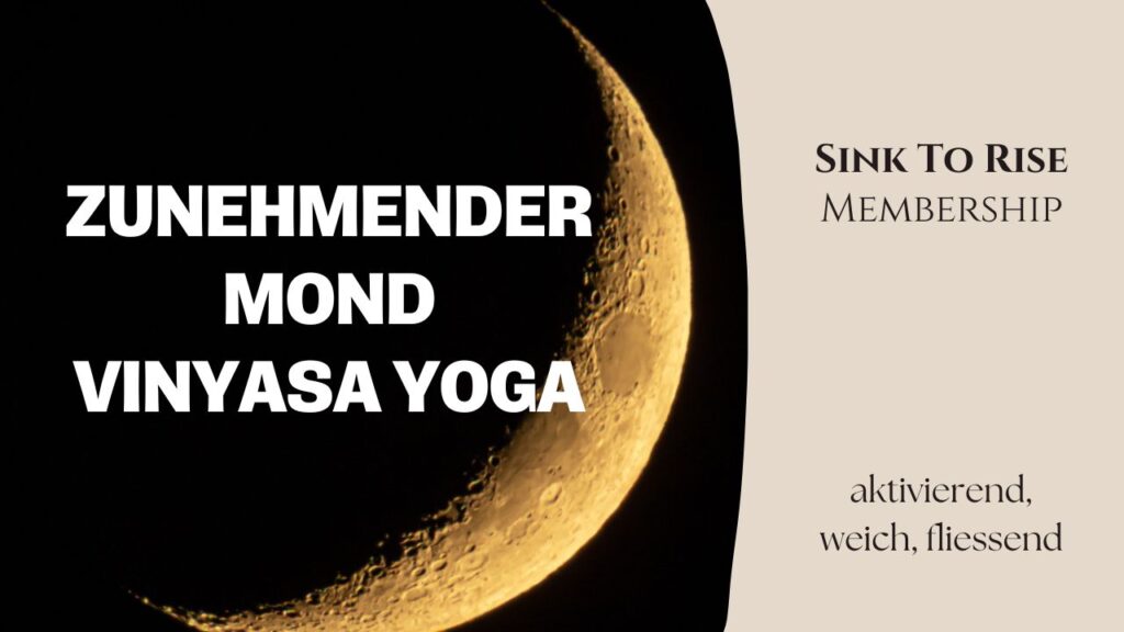 Zyklisch leben heißt, dem Fluss deines Körpers zu folgen. Diese sanfte Moon Practice begleitet dich zum Neumond – mit Yoga, Embodiment und Reflexion. Perfekt für deine innere Einkehr, Menstruation oder neue Ausrichtung.