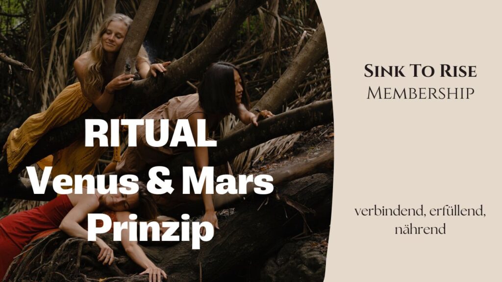 Vier Frauen liegen im Wald auf einem Baumstamm übereinander, verbunden in Gemeinschaft und Vertrauen, passend zum Ritual „Venus- und Mars-Prinzip“ im Sink to Rise Membership, Weiblichkeit leben, Embodiment und zyklische Praxis.