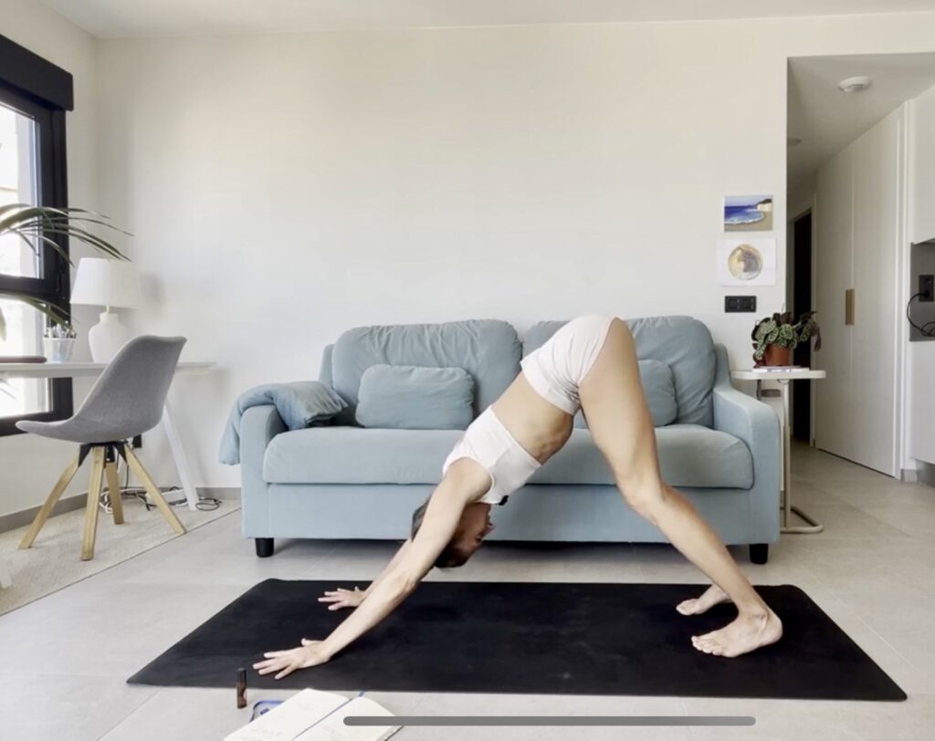 Sink To Rise Zyklusmembership